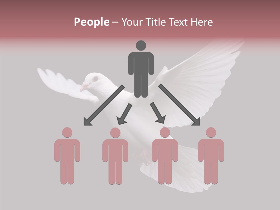 White Peace Free Flying PowerPoint Template