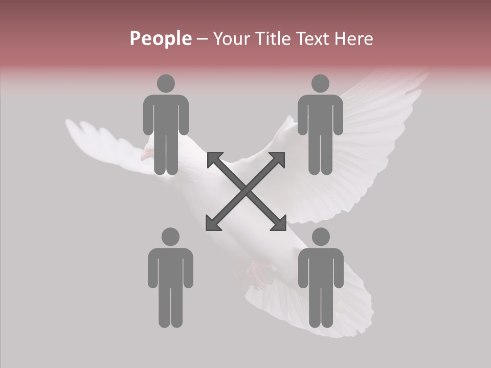 White Peace Free Flying PowerPoint Template