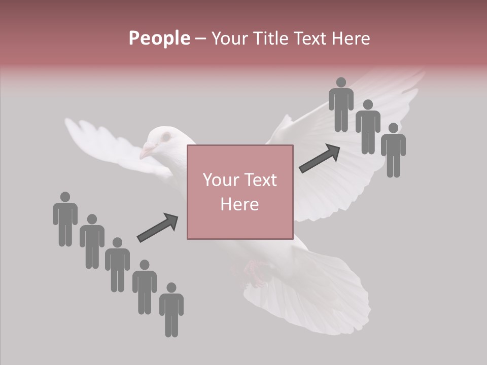 White Peace Free Flying PowerPoint Template