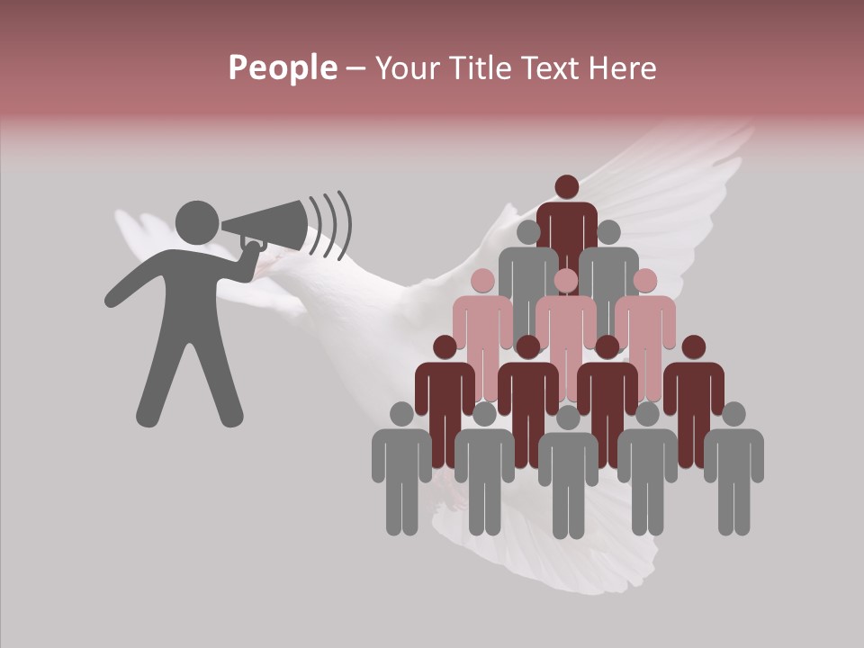 White Peace Free Flying PowerPoint Template