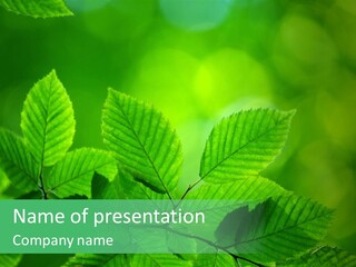 Burgeon Environment Gardening PowerPoint Template