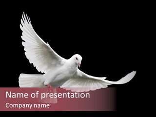 Spiritual White Wing PowerPoint Template