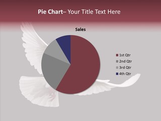 Spiritual White Wing PowerPoint Template