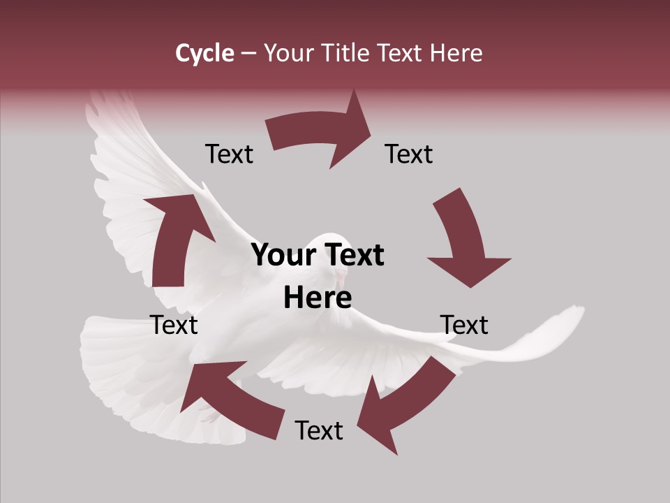 Spiritual White Wing PowerPoint Template