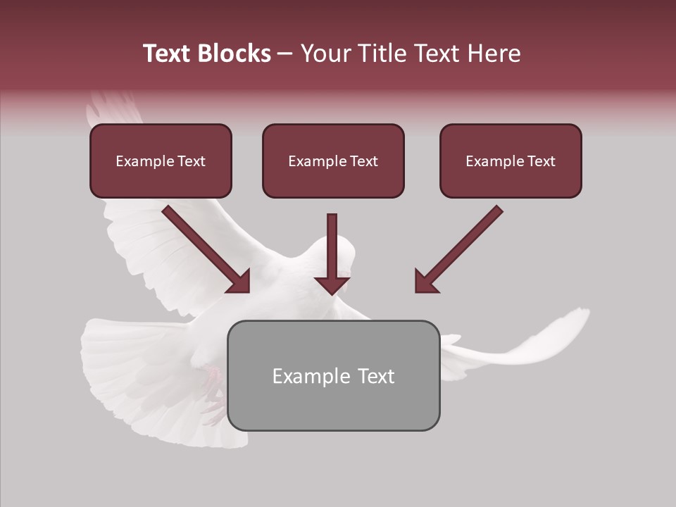 Spiritual White Wing PowerPoint Template