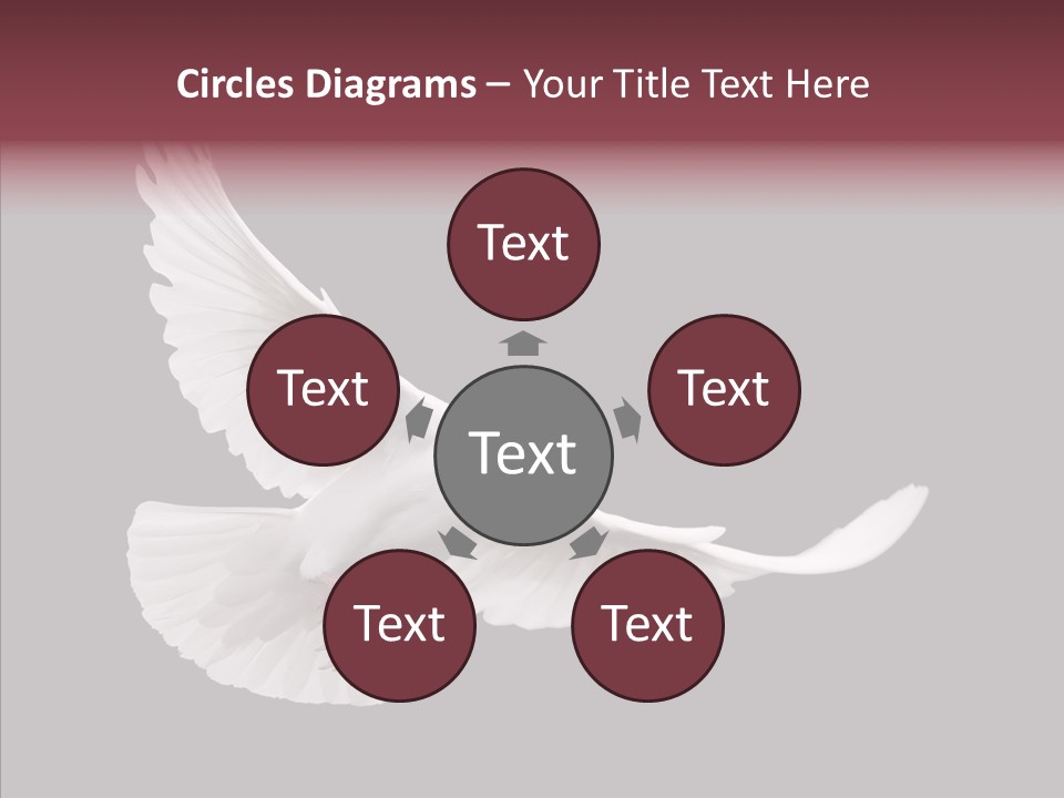 Spiritual White Wing PowerPoint Template