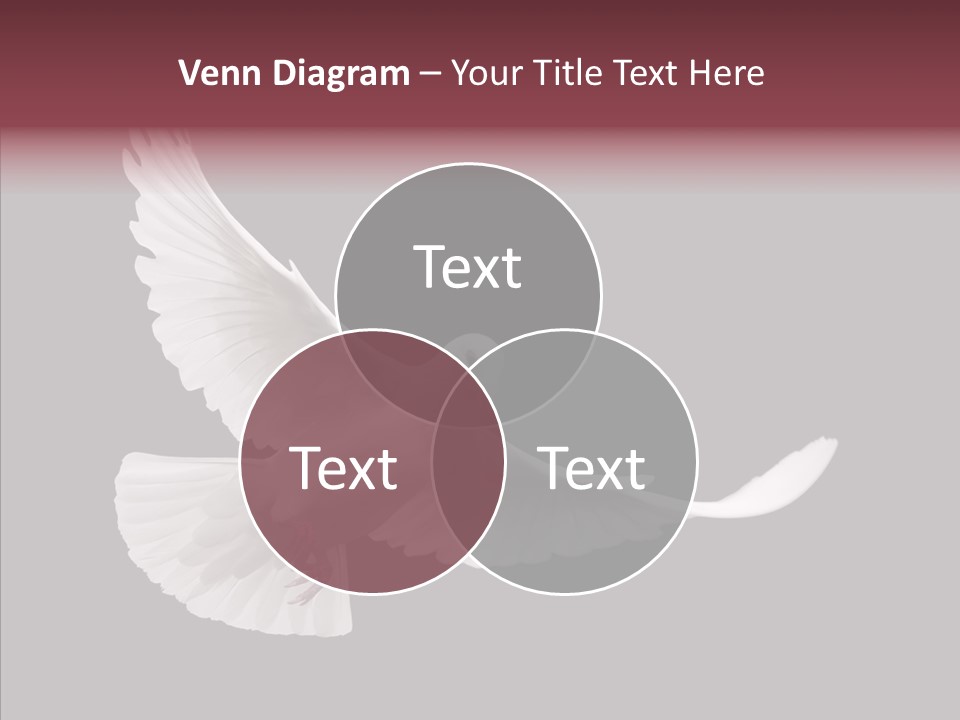 Spiritual White Wing PowerPoint Template