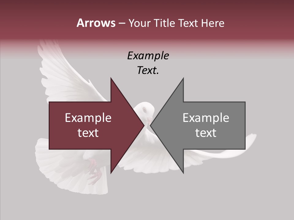 Spiritual White Wing PowerPoint Template