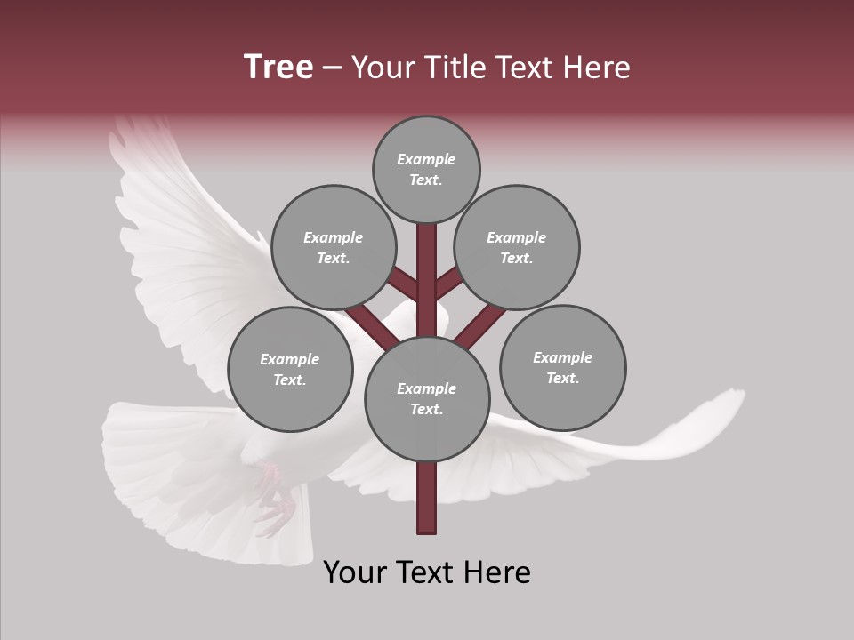 Spiritual White Wing PowerPoint Template