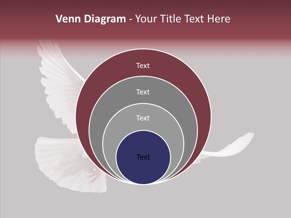 Spiritual White Wing PowerPoint Template
