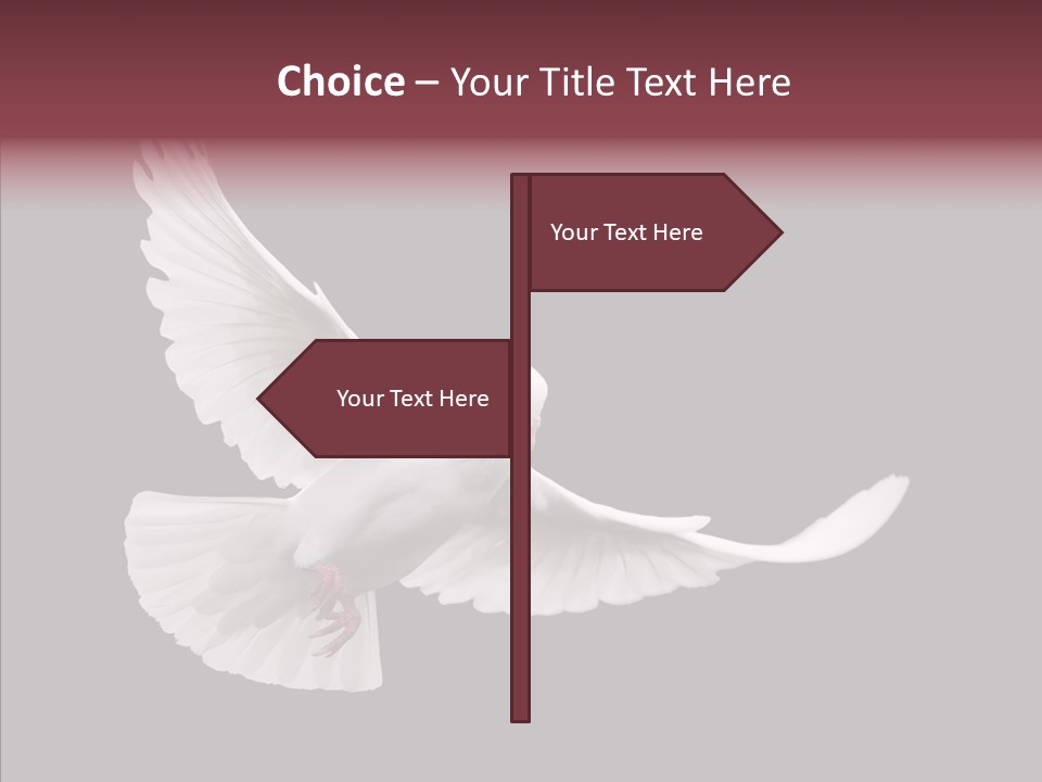 Spiritual White Wing PowerPoint Template