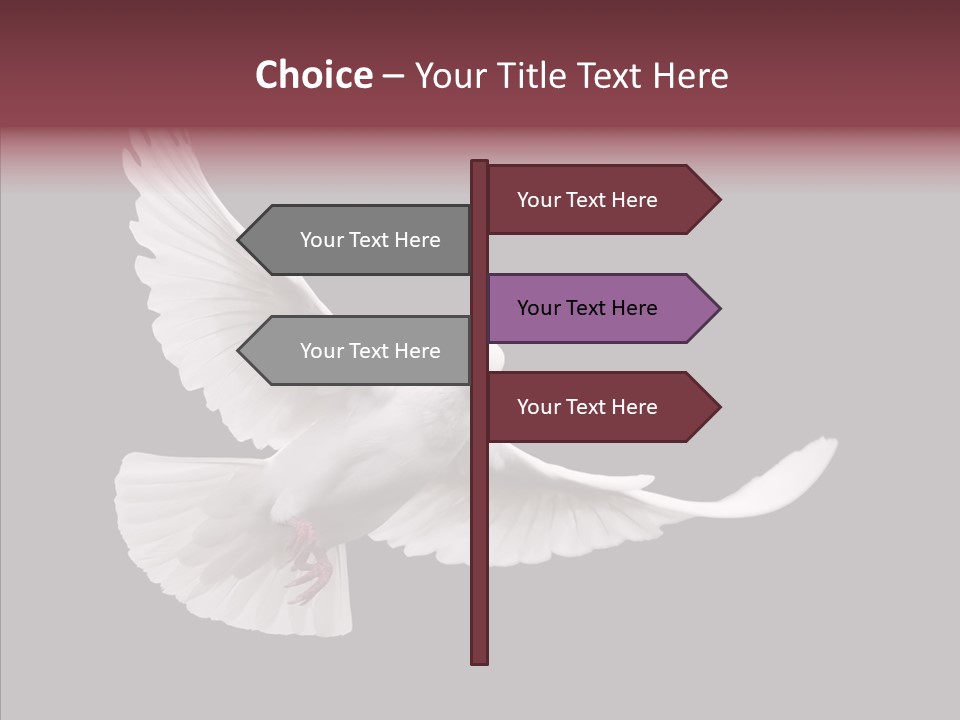 Spiritual White Wing PowerPoint Template