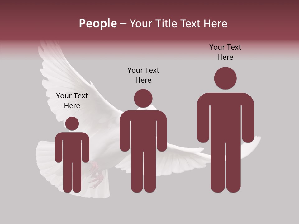 Spiritual White Wing PowerPoint Template