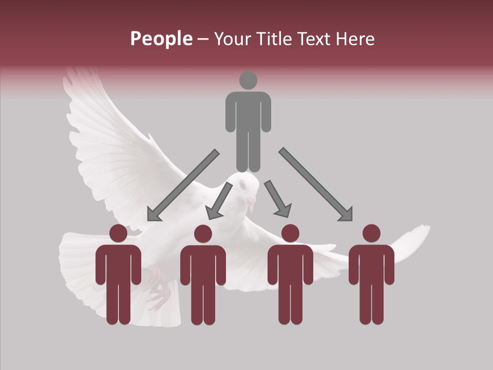 Spiritual White Wing PowerPoint Template