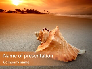 Seashell Mexico Tropical PowerPoint Template