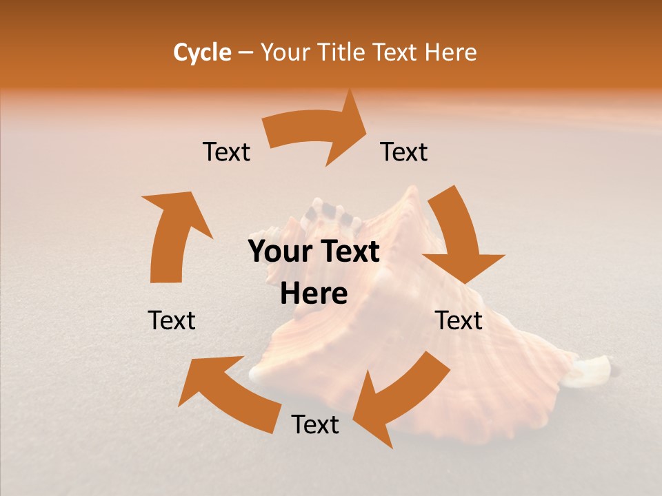 Seashell Mexico Tropical PowerPoint Template