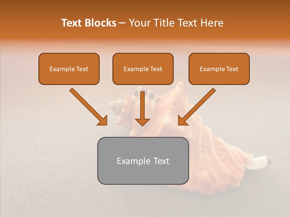 Seashell Mexico Tropical PowerPoint Template