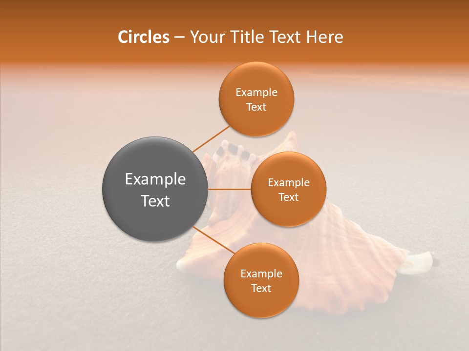 Seashell Mexico Tropical PowerPoint Template