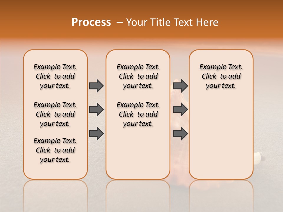 Seashell Mexico Tropical PowerPoint Template