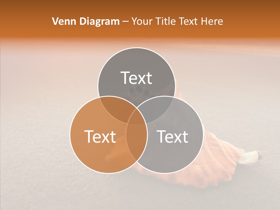 Seashell Mexico Tropical PowerPoint Template