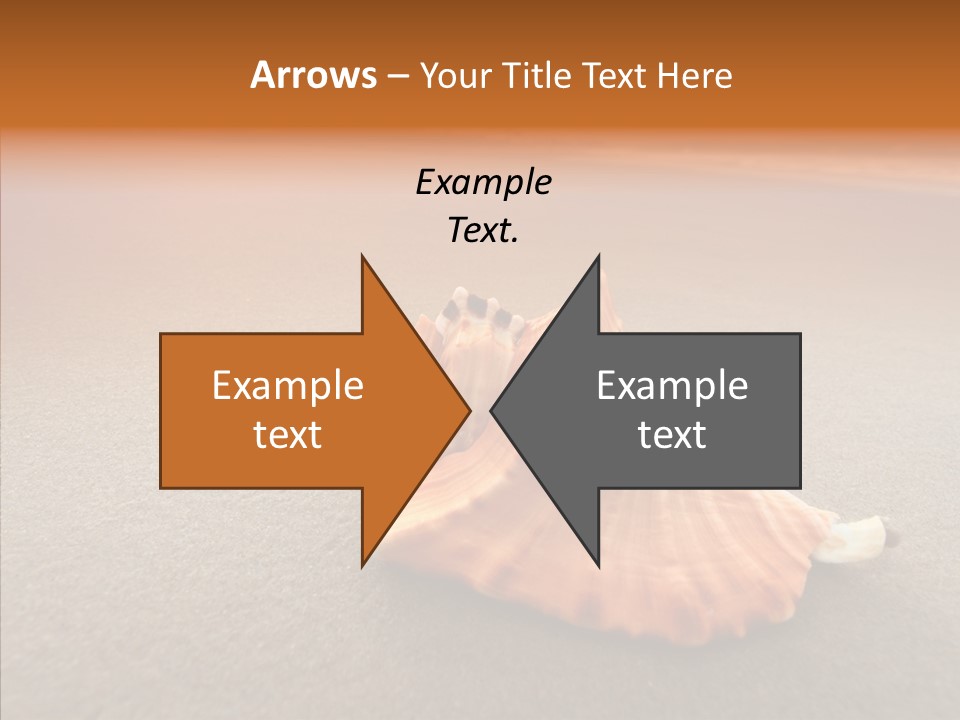 Seashell Mexico Tropical PowerPoint Template