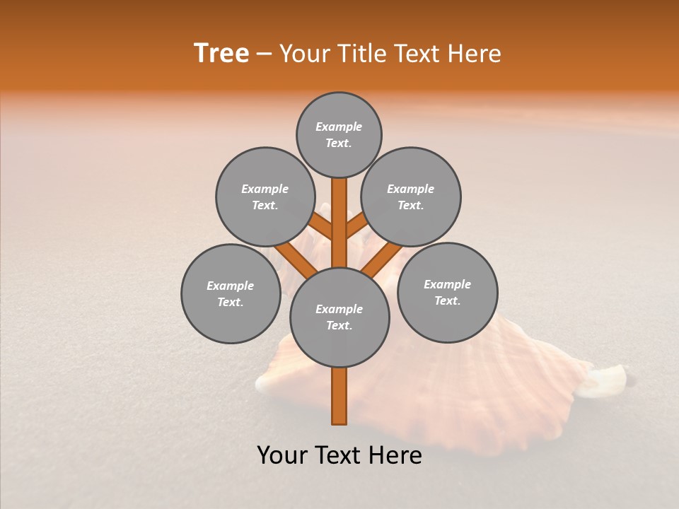 Seashell Mexico Tropical PowerPoint Template