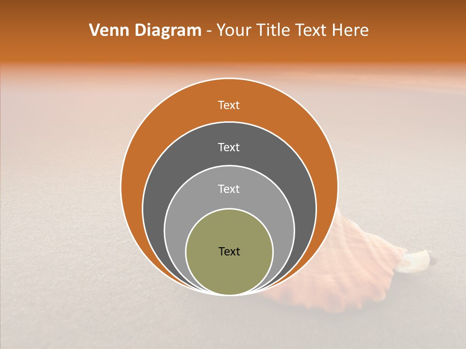 Seashell Mexico Tropical PowerPoint Template