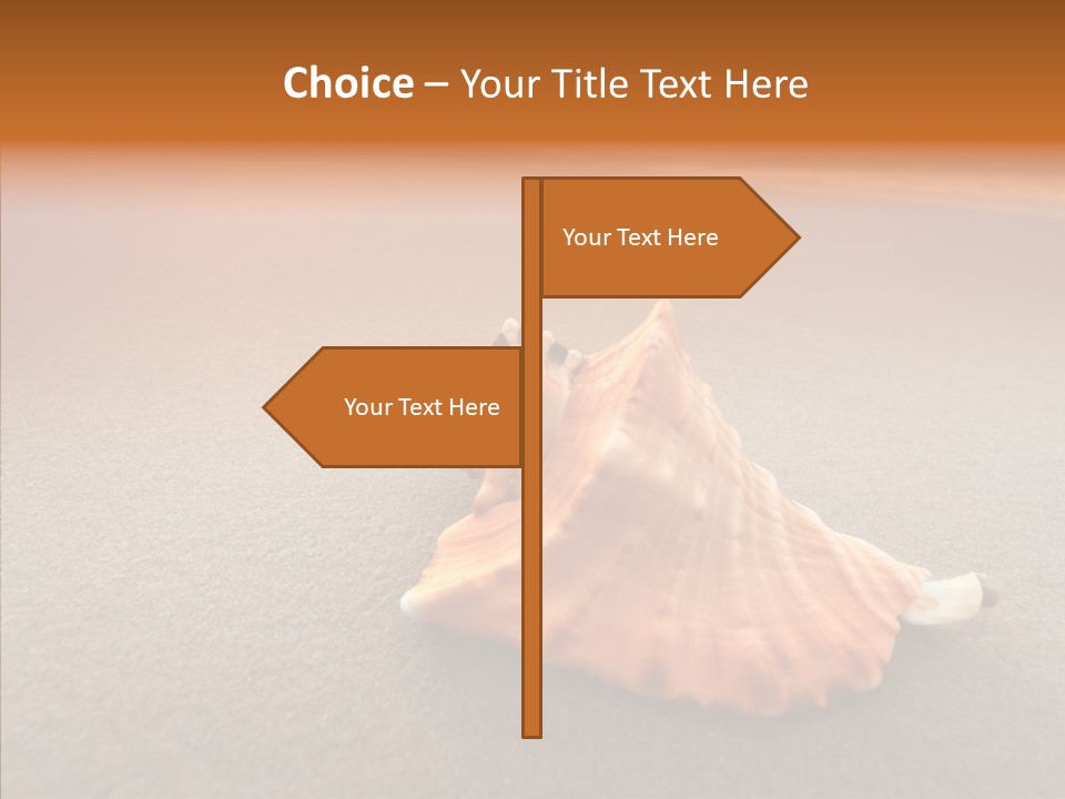 Seashell Mexico Tropical PowerPoint Template