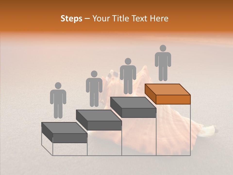 Seashell Mexico Tropical PowerPoint Template