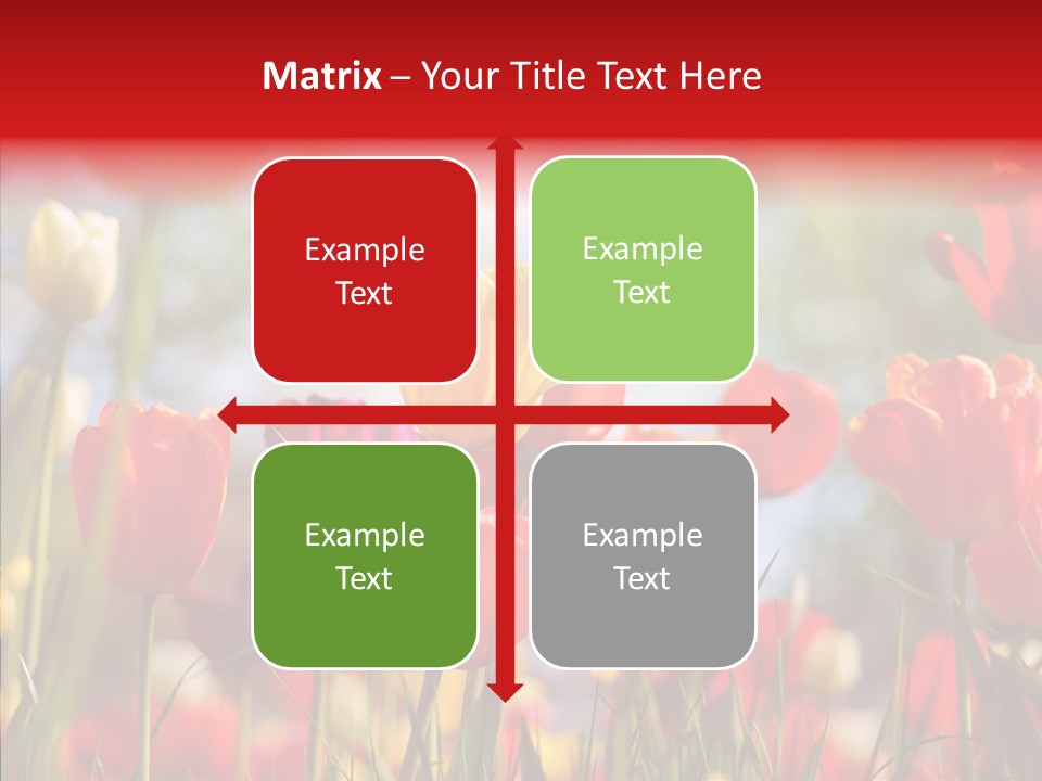 Tulip Yellow May PowerPoint Template