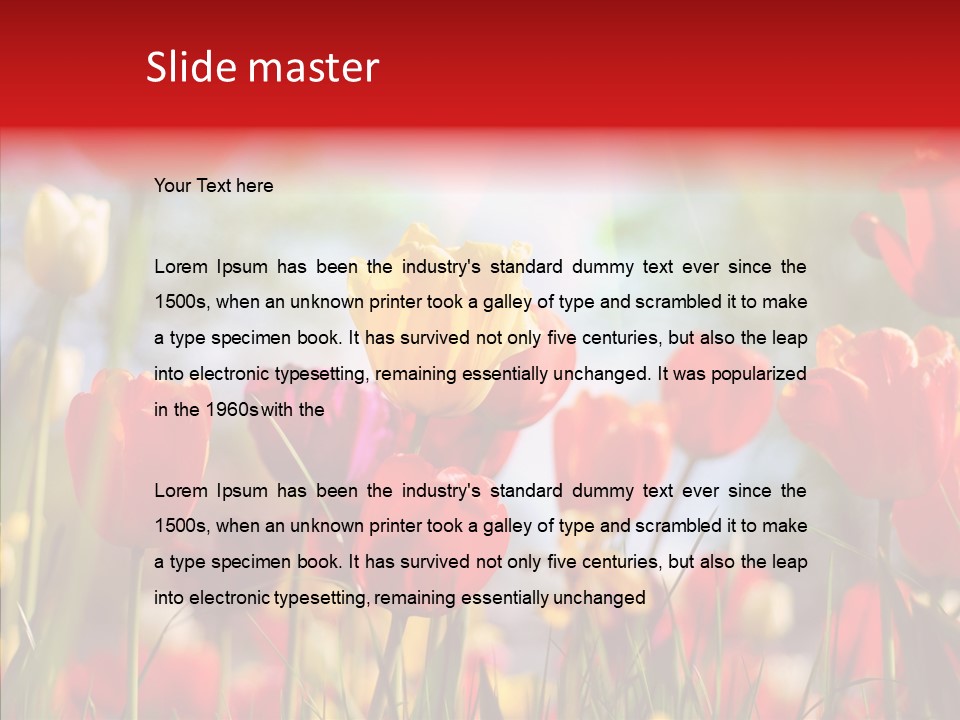 Tulip Yellow May PowerPoint Template