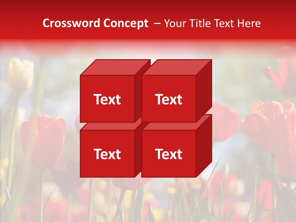 Tulip Yellow May PowerPoint Template