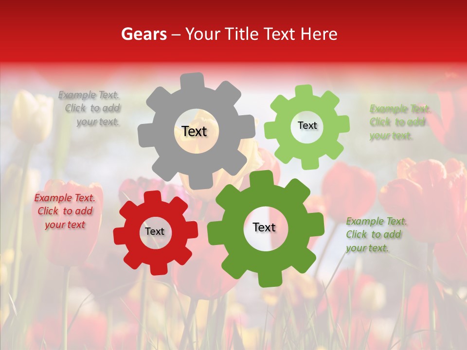 Tulip Yellow May PowerPoint Template