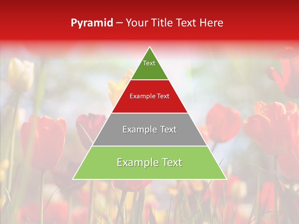 Tulip Yellow May PowerPoint Template