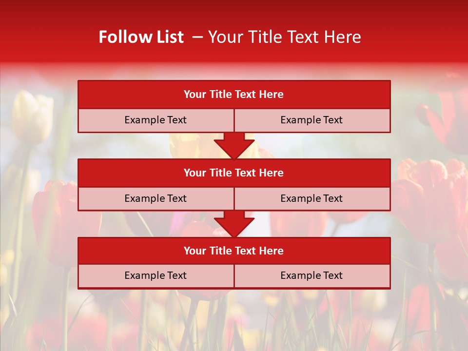 Tulip Yellow May PowerPoint Template