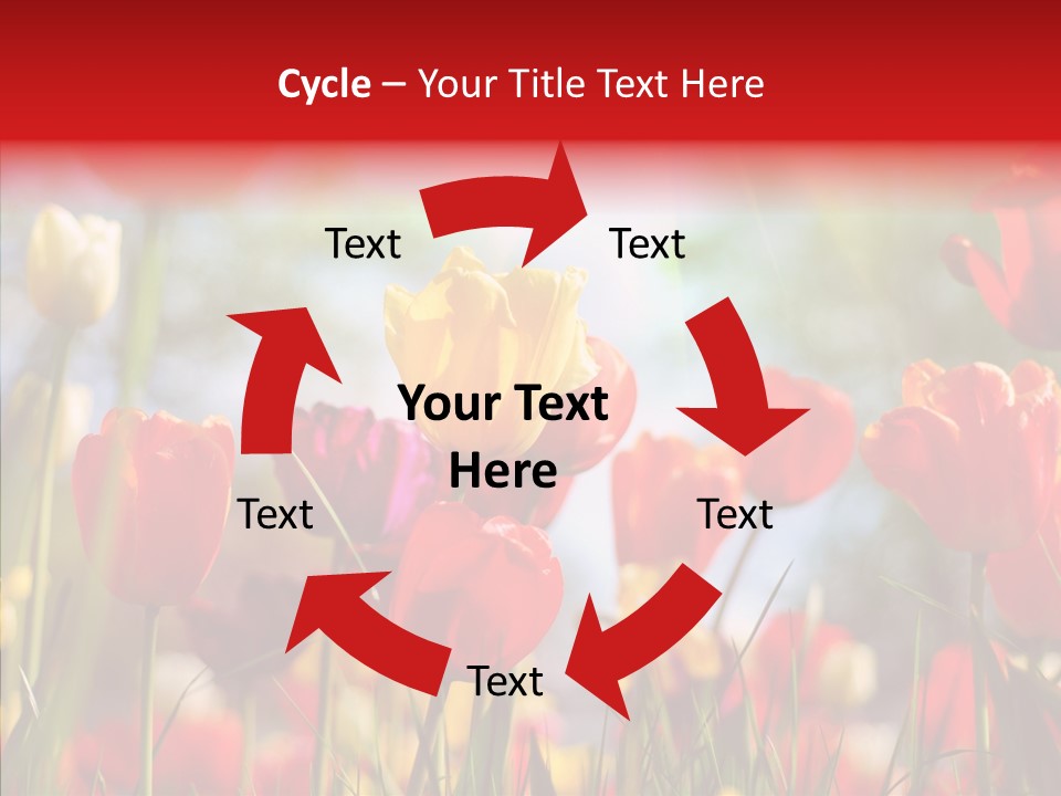 Tulip Yellow May PowerPoint Template