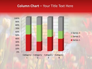 Tulip Yellow May PowerPoint Template