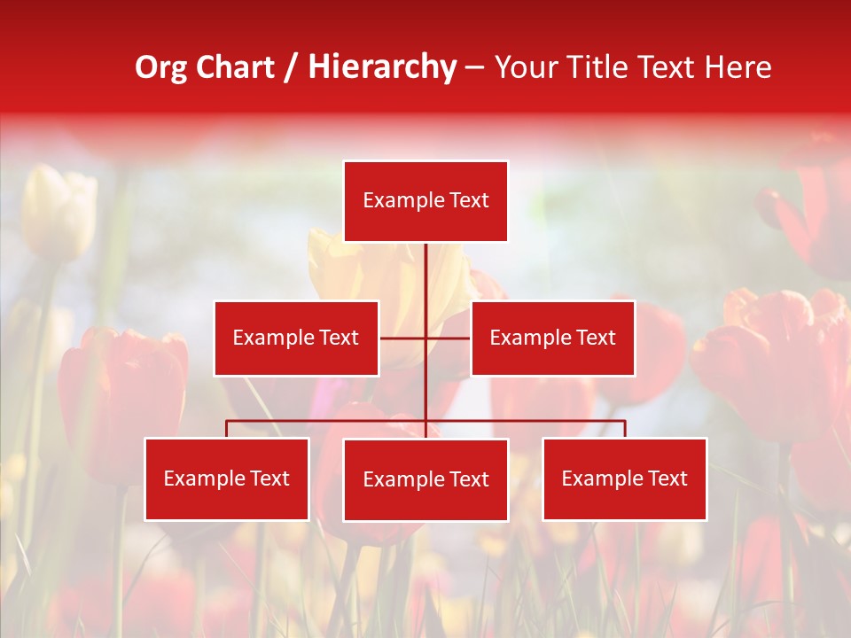 Tulip Yellow May PowerPoint Template