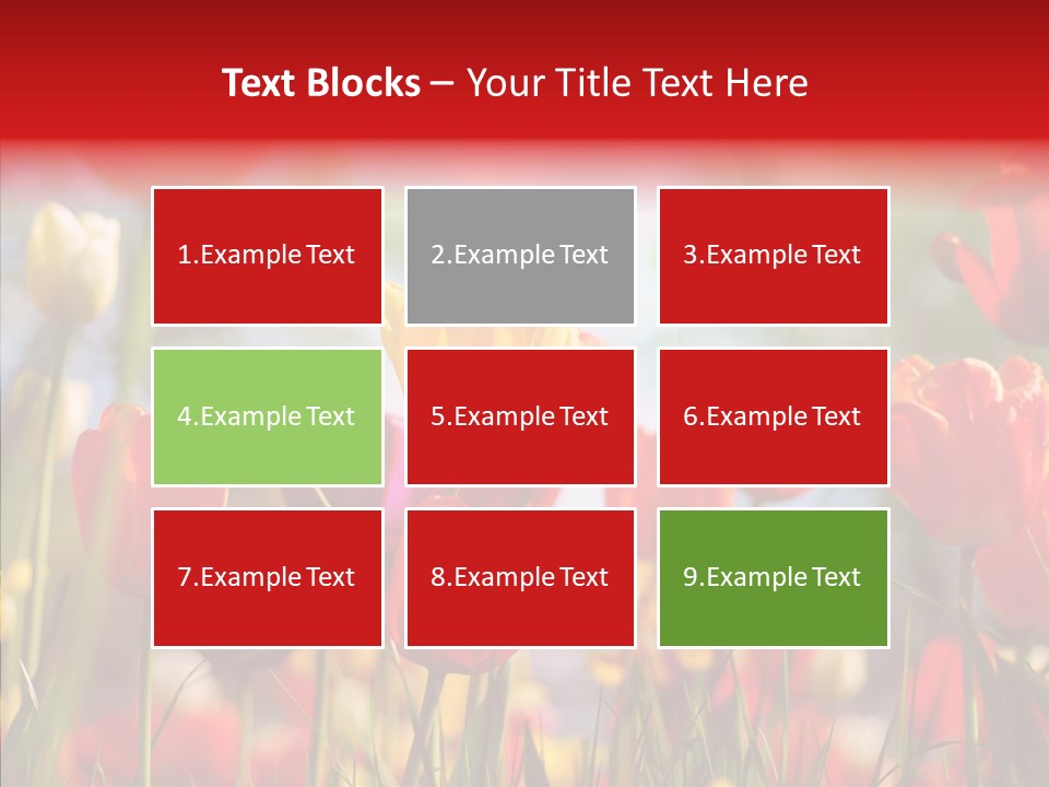 Tulip Yellow May PowerPoint Template