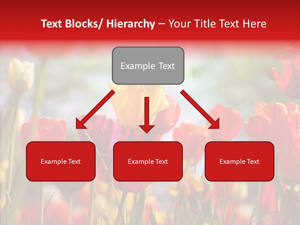 Tulip Yellow May PowerPoint Template