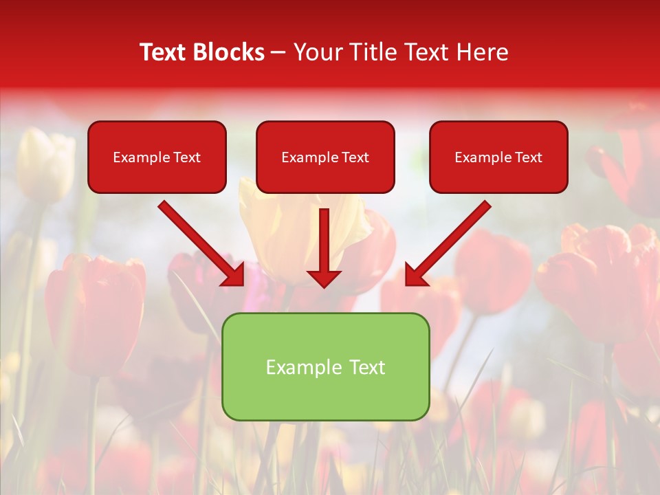 Tulip Yellow May PowerPoint Template