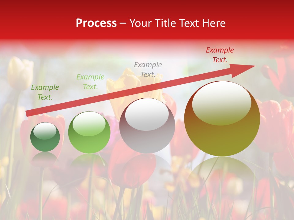 Tulip Yellow May PowerPoint Template
