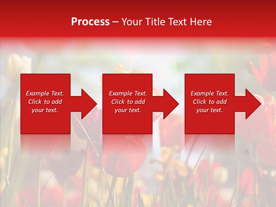 Tulip Yellow May PowerPoint Template