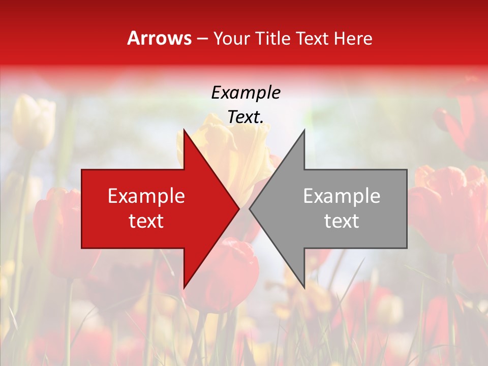 Tulip Yellow May PowerPoint Template