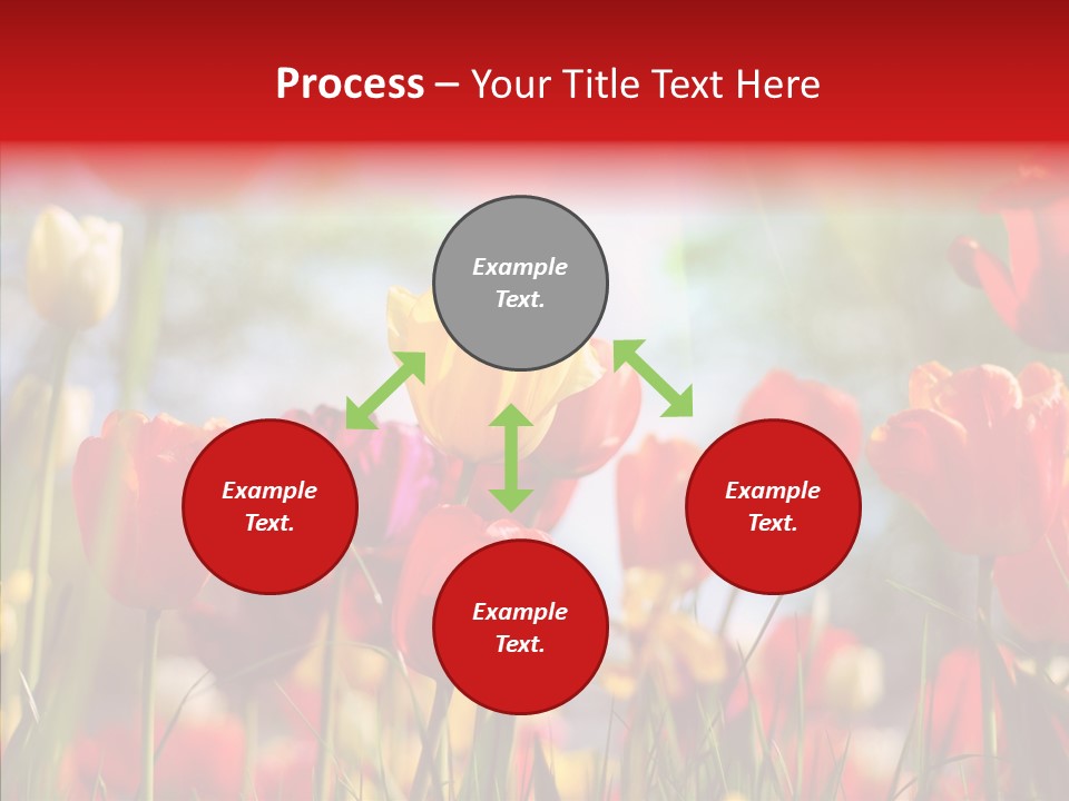 Tulip Yellow May PowerPoint Template