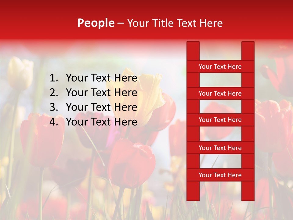 Tulip Yellow May PowerPoint Template