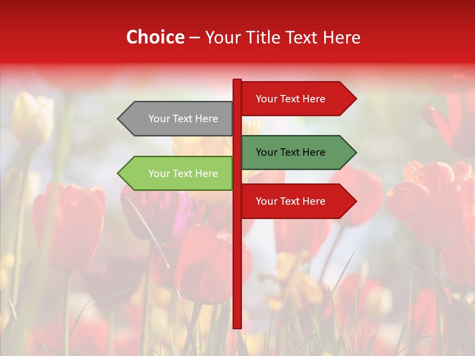 Tulip Yellow May PowerPoint Template