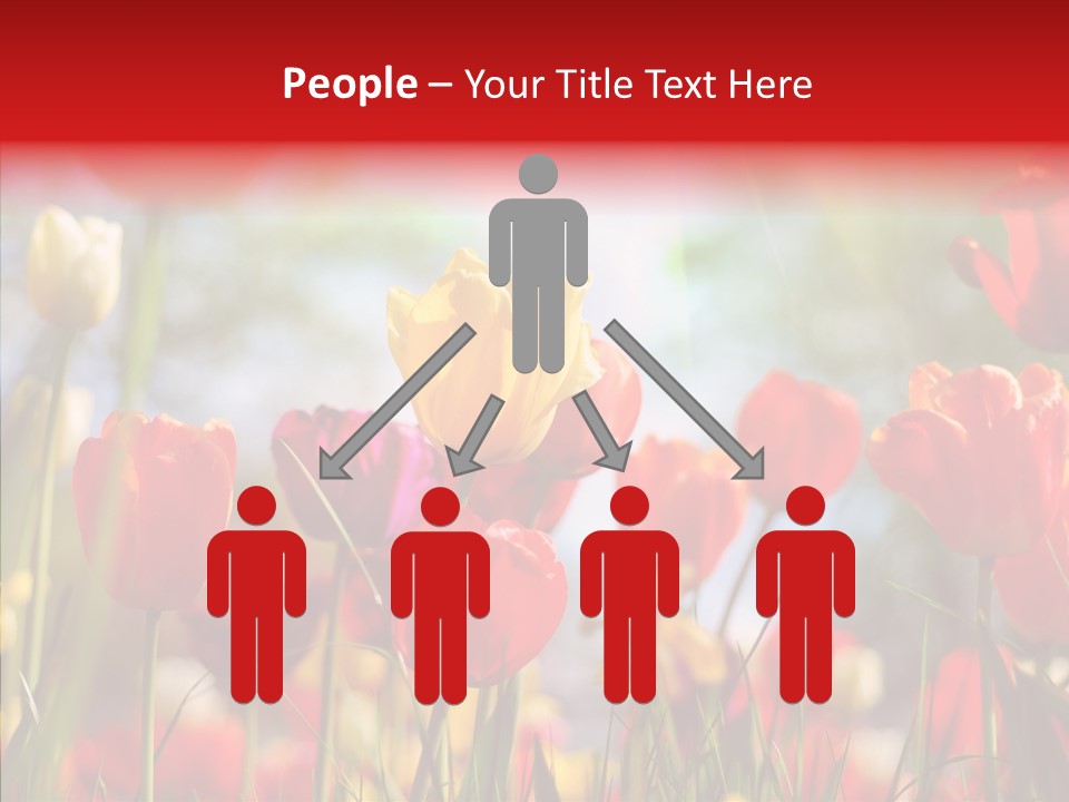 Tulip Yellow May PowerPoint Template