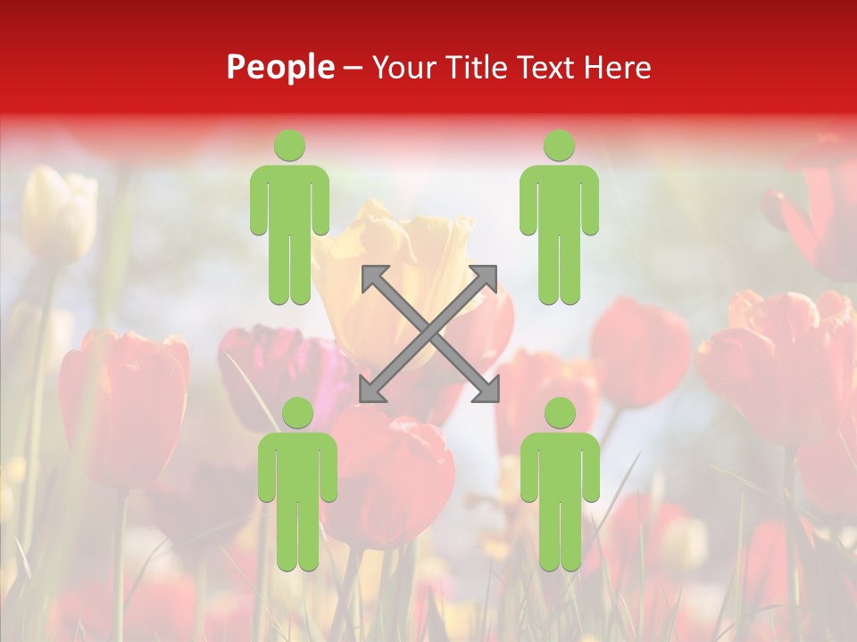 Tulip Yellow May PowerPoint Template