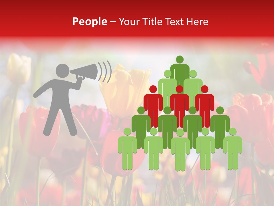 Tulip Yellow May PowerPoint Template